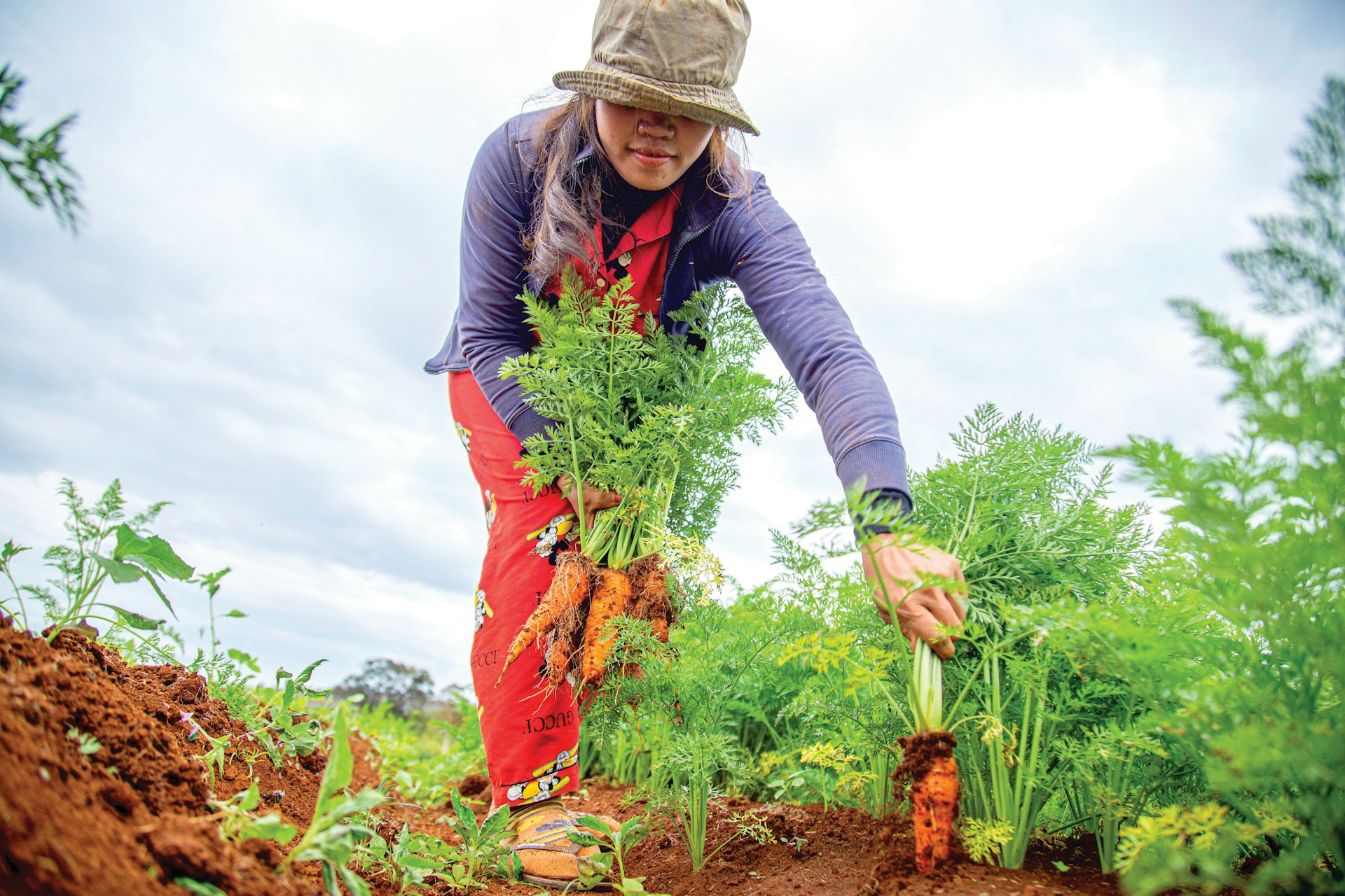 woman in blue and gray jacket holding green plant during daytime